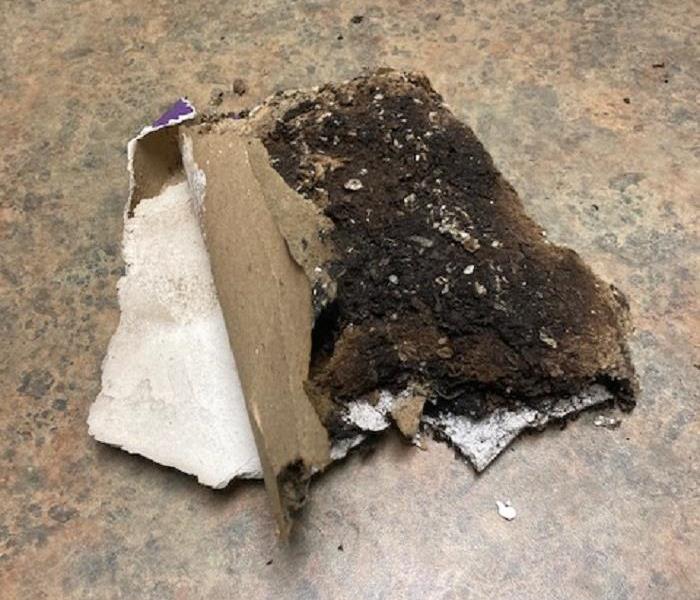 burnt insulation 